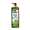 Mullein Leaf Body Lotion