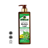 Mullein Leaf Body Lotion